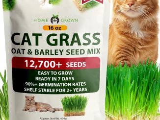 cat grass seeds​