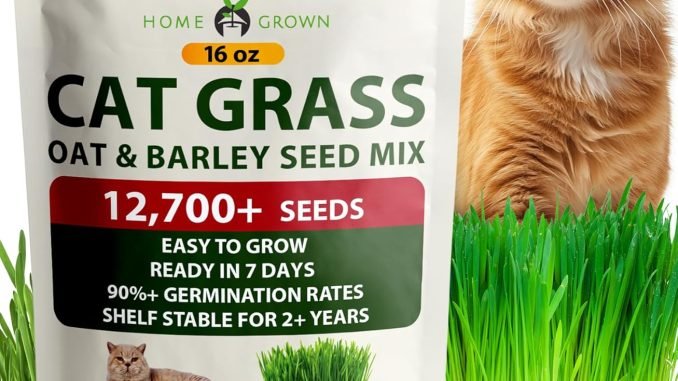 cat grass seeds​
