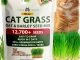 cat grass seeds​