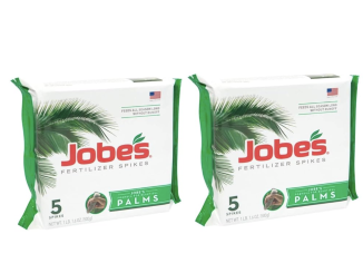 Palm Tree Fertilizer