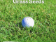 Zoysia Grass Seed