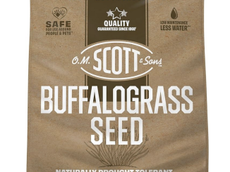 Buffalograss Seed
