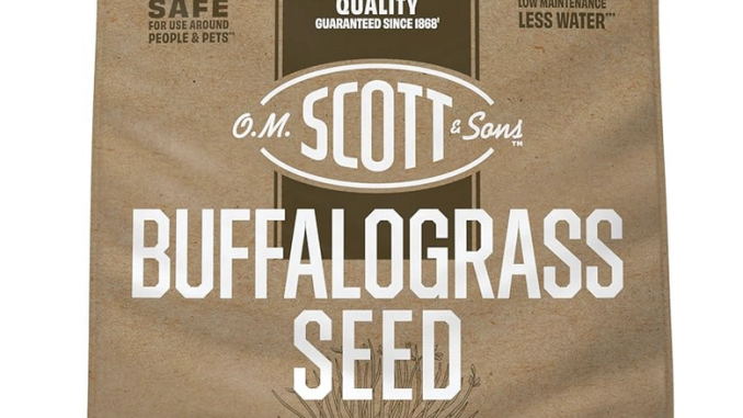 Buffalograss Seed
